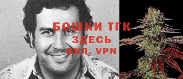 соль курить ск Белокуриха
