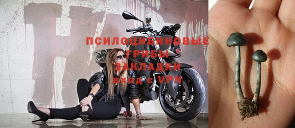 соль курить ск Белокуриха