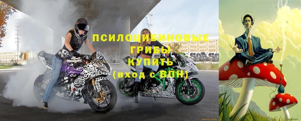 соль курить ск Белокуриха