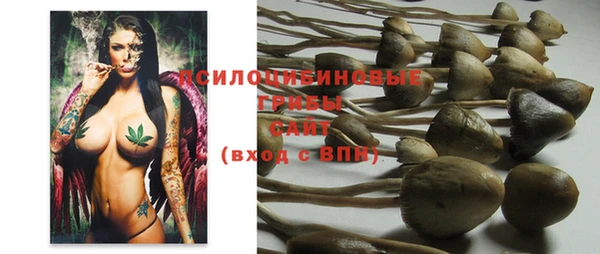 дмт Белоозёрский